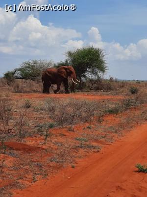 [P15] prin Tsavo Est- se indrepta spre Ngutuni Lodge » foto by nela b
 - 
<span class="allrVoted glyphicon glyphicon-heart hidden" id="av1515231"></span>
<a class="m-l-10 hidden" id="sv1515231" onclick="voting_Foto_DelVot(,1515231,2009)" role="button">șterge vot <span class="glyphicon glyphicon-remove"></span></a>
<a id="v91515231" class=" c-red"  onclick="voting_Foto_SetVot(1515231)" role="button"><span class="glyphicon glyphicon-heart-empty"></span> <b>LIKE</b> = Votează poza</a> <img class="hidden"  id="f1515231W9" src="/imagini/loader.gif" border="0" /><span class="AjErrMes hidden" id="e1515231ErM"></span>