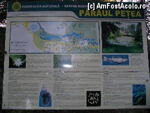 [P03] Pancarda din rezervatia naturala » foto by lumi11
 - 
<span class="allrVoted glyphicon glyphicon-heart hidden" id="av362966"></span>
<a class="m-l-10 hidden" id="sv362966" onclick="voting_Foto_DelVot(,362966,2014)" role="button">șterge vot <span class="glyphicon glyphicon-remove"></span></a>
<a id="v9362966" class=" c-red"  onclick="voting_Foto_SetVot(362966)" role="button"><span class="glyphicon glyphicon-heart-empty"></span> <b>LIKE</b> = Votează poza</a> <img class="hidden"  id="f362966W9" src="/imagini/loader.gif" border="0" /><span class="AjErrMes hidden" id="e362966ErM"></span>