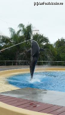 [P28] saritura.... » foto by irinagh
 - 
<span class="allrVoted glyphicon glyphicon-heart hidden" id="av130460"></span>
<a class="m-l-10 hidden" id="sv130460" onclick="voting_Foto_DelVot(,130460,2078)" role="button">șterge vot <span class="glyphicon glyphicon-remove"></span></a>
<a id="v9130460" class=" c-red"  onclick="voting_Foto_SetVot(130460)" role="button"><span class="glyphicon glyphicon-heart-empty"></span> <b>LIKE</b> = Votează poza</a> <img class="hidden"  id="f130460W9" src="/imagini/loader.gif" border="0" /><span class="AjErrMes hidden" id="e130460ErM"></span>