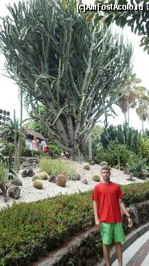 [P48] cactusi de toate felurile si dimensiunile...iar soparlitele misunau peste tot.... » foto by irinagh
 - 
<span class="allrVoted glyphicon glyphicon-heart hidden" id="av130495"></span>
<a class="m-l-10 hidden" id="sv130495" onclick="voting_Foto_DelVot(,130495,2078)" role="button">șterge vot <span class="glyphicon glyphicon-remove"></span></a>
<a id="v9130495" class=" c-red"  onclick="voting_Foto_SetVot(130495)" role="button"><span class="glyphicon glyphicon-heart-empty"></span> <b>LIKE</b> = Votează poza</a> <img class="hidden"  id="f130495W9" src="/imagini/loader.gif" border="0" /><span class="AjErrMes hidden" id="e130495ErM"></span>