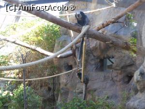 [P33]  -- <small>// FĂRĂ DESCRIERE</small> » foto by iulianic
 - 
<span class="allrVoted glyphicon glyphicon-heart hidden" id="av1424714"></span>
<a class="m-l-10 hidden" id="sv1424714" onclick="voting_Foto_DelVot(,1424714,2078)" role="button">șterge vot <span class="glyphicon glyphicon-remove"></span></a>
<a id="v91424714" class=" c-red"  onclick="voting_Foto_SetVot(1424714)" role="button"><span class="glyphicon glyphicon-heart-empty"></span> <b>LIKE</b> = Votează poza</a> <img class="hidden"  id="f1424714W9" src="/imagini/loader.gif" border="0" /><span class="AjErrMes hidden" id="e1424714ErM"></span>