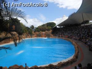 [P36]  -- <small>// FĂRĂ DESCRIERE</small> » foto by iulianic
 - 
<span class="allrVoted glyphicon glyphicon-heart hidden" id="av1424717"></span>
<a class="m-l-10 hidden" id="sv1424717" onclick="voting_Foto_DelVot(,1424717,2078)" role="button">șterge vot <span class="glyphicon glyphicon-remove"></span></a>
<a id="v91424717" class=" c-red"  onclick="voting_Foto_SetVot(1424717)" role="button"><span class="glyphicon glyphicon-heart-empty"></span> <b>LIKE</b> = Votează poza</a> <img class="hidden"  id="f1424717W9" src="/imagini/loader.gif" border="0" /><span class="AjErrMes hidden" id="e1424717ErM"></span>