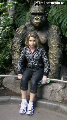 [P11] fetitza mea in bratele lui King Kong » foto by ghecamelia
 - 
<span class="allrVoted glyphicon glyphicon-heart hidden" id="av50617"></span>
<a class="m-l-10 hidden" id="sv50617" onclick="voting_Foto_DelVot(,50617,2078)" role="button">șterge vot <span class="glyphicon glyphicon-remove"></span></a>
<a id="v950617" class=" c-red"  onclick="voting_Foto_SetVot(50617)" role="button"><span class="glyphicon glyphicon-heart-empty"></span> <b>LIKE</b> = Votează poza</a> <img class="hidden"  id="f50617W9" src="/imagini/loader.gif" border="0" /><span class="AjErrMes hidden" id="e50617ErM"></span>