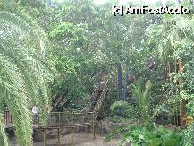 [P18] Loro Parque-Katandra Treetops » foto by pink_gabi*
 - 
<span class="allrVoted glyphicon glyphicon-heart hidden" id="av75036"></span>
<a class="m-l-10 hidden" id="sv75036" onclick="voting_Foto_DelVot(,75036,2078)" role="button">șterge vot <span class="glyphicon glyphicon-remove"></span></a>
<a id="v975036" class=" c-red"  onclick="voting_Foto_SetVot(75036)" role="button"><span class="glyphicon glyphicon-heart-empty"></span> <b>LIKE</b> = Votează poza</a> <img class="hidden"  id="f75036W9" src="/imagini/loader.gif" border="0" /><span class="AjErrMes hidden" id="e75036ErM"></span>