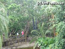 [P19] Loro Parque-Katandra Treetops » foto by pink_gabi*
 - 
<span class="allrVoted glyphicon glyphicon-heart hidden" id="av75037"></span>
<a class="m-l-10 hidden" id="sv75037" onclick="voting_Foto_DelVot(,75037,2078)" role="button">șterge vot <span class="glyphicon glyphicon-remove"></span></a>
<a id="v975037" class=" c-red"  onclick="voting_Foto_SetVot(75037)" role="button"><span class="glyphicon glyphicon-heart-empty"></span> <b>LIKE</b> = Votează poza</a> <img class="hidden"  id="f75037W9" src="/imagini/loader.gif" border="0" /><span class="AjErrMes hidden" id="e75037ErM"></span>