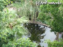 [P21] Loro Parque-Katandra Treetops » foto by pink_gabi*
 - 
<span class="allrVoted glyphicon glyphicon-heart hidden" id="av75040"></span>
<a class="m-l-10 hidden" id="sv75040" onclick="voting_Foto_DelVot(,75040,2078)" role="button">șterge vot <span class="glyphicon glyphicon-remove"></span></a>
<a id="v975040" class=" c-red"  onclick="voting_Foto_SetVot(75040)" role="button"><span class="glyphicon glyphicon-heart-empty"></span> <b>LIKE</b> = Votează poza</a> <img class="hidden"  id="f75040W9" src="/imagini/loader.gif" border="0" /><span class="AjErrMes hidden" id="e75040ErM"></span>