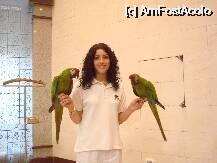 [P06] Loro Parque-si eu au facut parte din show » foto by pink_gabi*
 - 
<span class="allrVoted glyphicon glyphicon-heart hidden" id="av75021"></span>
<a class="m-l-10 hidden" id="sv75021" onclick="voting_Foto_DelVot(,75021,2078)" role="button">șterge vot <span class="glyphicon glyphicon-remove"></span></a>
<a id="v975021" class=" c-red"  onclick="voting_Foto_SetVot(75021)" role="button"><span class="glyphicon glyphicon-heart-empty"></span> <b>LIKE</b> = Votează poza</a> <img class="hidden"  id="f75021W9" src="/imagini/loader.gif" border="0" /><span class="AjErrMes hidden" id="e75021ErM"></span>