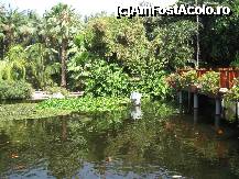 [P19] imagine din Satul Thai » foto by cami1212
 - 
<span class="allrVoted glyphicon glyphicon-heart hidden" id="av189052"></span>
<a class="m-l-10 hidden" id="sv189052" onclick="voting_Foto_DelVot(,189052,2078)" role="button">șterge vot <span class="glyphicon glyphicon-remove"></span></a>
<a id="v9189052" class=" c-red"  onclick="voting_Foto_SetVot(189052)" role="button"><span class="glyphicon glyphicon-heart-empty"></span> <b>LIKE</b> = Votează poza</a> <img class="hidden"  id="f189052W9" src="/imagini/loader.gif" border="0" /><span class="AjErrMes hidden" id="e189052ErM"></span>