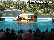 [P05] Specatacol lei de mare in Loro Park » foto by cami1212
 - 
<span class="allrVoted glyphicon glyphicon-heart hidden" id="av189032"></span>
<a class="m-l-10 hidden" id="sv189032" onclick="voting_Foto_DelVot(,189032,2078)" role="button">șterge vot <span class="glyphicon glyphicon-remove"></span></a>
<a id="v9189032" class=" c-red"  onclick="voting_Foto_SetVot(189032)" role="button"><span class="glyphicon glyphicon-heart-empty"></span> <b>LIKE</b> = Votează poza</a> <img class="hidden"  id="f189032W9" src="/imagini/loader.gif" border="0" /><span class="AjErrMes hidden" id="e189032ErM"></span>