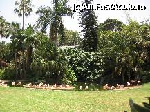 [P08] Minunatele pasari flamingo » foto by cami1212
 - 
<span class="allrVoted glyphicon glyphicon-heart hidden" id="av189035"></span>
<a class="m-l-10 hidden" id="sv189035" onclick="voting_Foto_DelVot(,189035,2078)" role="button">șterge vot <span class="glyphicon glyphicon-remove"></span></a>
<a id="v9189035" class=" c-red"  onclick="voting_Foto_SetVot(189035)" role="button"><span class="glyphicon glyphicon-heart-empty"></span> <b>LIKE</b> = Votează poza</a> <img class="hidden"  id="f189035W9" src="/imagini/loader.gif" border="0" /><span class="AjErrMes hidden" id="e189035ErM"></span>