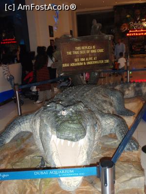 [P15] eeee... tot in Dubai Mall » foto by bubica*
 - 
<span class="allrVoted glyphicon glyphicon-heart hidden" id="av1105835"></span>
<a class="m-l-10 hidden" id="sv1105835" onclick="voting_Foto_DelVot(,1105835,2142)" role="button">șterge vot <span class="glyphicon glyphicon-remove"></span></a>
<a id="v91105835" class=" c-red"  onclick="voting_Foto_SetVot(1105835)" role="button"><span class="glyphicon glyphicon-heart-empty"></span> <b>LIKE</b> = Votează poza</a> <img class="hidden"  id="f1105835W9" src="/imagini/loader.gif" border="0" /><span class="AjErrMes hidden" id="e1105835ErM"></span>