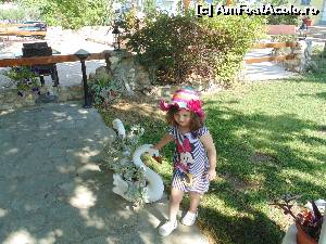 [P13] Giulia in curtea vesela a hotelului » foto by Giu
 - 
<span class="allrVoted glyphicon glyphicon-heart hidden" id="av544701"></span>
<a class="m-l-10 hidden" id="sv544701" onclick="voting_Foto_DelVot(,544701,2168)" role="button">șterge vot <span class="glyphicon glyphicon-remove"></span></a>
<a id="v9544701" class=" c-red"  onclick="voting_Foto_SetVot(544701)" role="button"><span class="glyphicon glyphicon-heart-empty"></span> <b>LIKE</b> = Votează poza</a> <img class="hidden"  id="f544701W9" src="/imagini/loader.gif" border="0" /><span class="AjErrMes hidden" id="e544701ErM"></span>