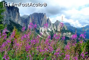 P08 [AUG-2015] Muntii Dolomiti in toata splendoarea lor