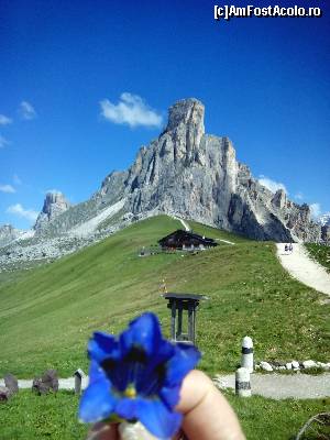 P02 [JUN-2015] Unora le place natura. 
Passo di Giau in toata splendoarea