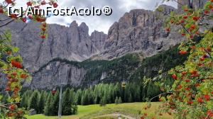 [P03] Dolomitii vazuti din Borca di Cadore » foto by scoty
 - 
<span class="allrVoted glyphicon glyphicon-heart hidden" id="av1344784"></span>
<a class="m-l-10 hidden" id="sv1344784" onclick="voting_Foto_DelVot(,1344784,2211)" role="button">șterge vot <span class="glyphicon glyphicon-remove"></span></a>
<a id="v91344784" class=" c-red"  onclick="voting_Foto_SetVot(1344784)" role="button"><span class="glyphicon glyphicon-heart-empty"></span> <b>LIKE</b> = Votează poza</a> <img class="hidden"  id="f1344784W9" src="/imagini/loader.gif" border="0" /><span class="AjErrMes hidden" id="e1344784ErM"></span>