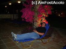 [P11]  -- <small>// FĂRĂ DESCRIERE</small> » foto by terente333
 - 
<span class="allrVoted glyphicon glyphicon-heart hidden" id="av6827"></span>
<a class="m-l-10 hidden" id="sv6827" onclick="voting_Foto_DelVot(,6827,2241)" role="button">șterge vot <span class="glyphicon glyphicon-remove"></span></a>
<a id="v96827" class=" c-red"  onclick="voting_Foto_SetVot(6827)" role="button"><span class="glyphicon glyphicon-heart-empty"></span> <b>LIKE</b> = Votează poza</a> <img class="hidden"  id="f6827W9" src="/imagini/loader.gif" border="0" /><span class="AjErrMes hidden" id="e6827ErM"></span>