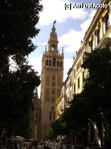 [P02] giralda » foto by Cristian_h*
 - 
<span class="allrVoted glyphicon glyphicon-heart hidden" id="av6947"></span>
<a class="m-l-10 hidden" id="sv6947" onclick="voting_Foto_DelVot(,6947,2251)" role="button">șterge vot <span class="glyphicon glyphicon-remove"></span></a>
<a id="v96947" class=" c-red"  onclick="voting_Foto_SetVot(6947)" role="button"><span class="glyphicon glyphicon-heart-empty"></span> <b>LIKE</b> = Votează poza</a> <img class="hidden"  id="f6947W9" src="/imagini/loader.gif" border="0" /><span class="AjErrMes hidden" id="e6947ErM"></span>