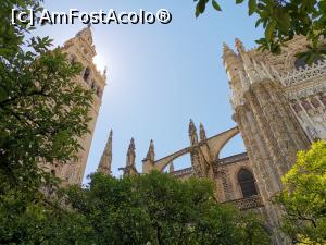[P21] Turnul Giralda, stânga și Catedrala din curtea cu portocali.  » foto by Aurici
 - 
<span class="allrVoted glyphicon glyphicon-heart hidden" id="av1093166"></span>
<a class="m-l-10 hidden" id="sv1093166" onclick="voting_Foto_DelVot(,1093166,2251)" role="button">șterge vot <span class="glyphicon glyphicon-remove"></span></a>
<a id="v91093166" class=" c-red"  onclick="voting_Foto_SetVot(1093166)" role="button"><span class="glyphicon glyphicon-heart-empty"></span> <b>LIKE</b> = Votează poza</a> <img class="hidden"  id="f1093166W9" src="/imagini/loader.gif" border="0" /><span class="AjErrMes hidden" id="e1093166ErM"></span>