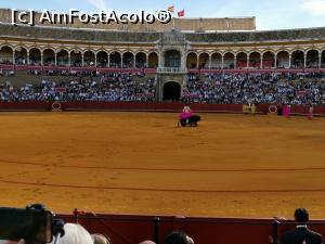 [P53] Spectacol de coridă la Plaza de Toros de Maestranza din Sevilia.  » foto by Aurici
 - 
<span class="allrVoted glyphicon glyphicon-heart hidden" id="av1093211"></span>
<a class="m-l-10 hidden" id="sv1093211" onclick="voting_Foto_DelVot(,1093211,2251)" role="button">șterge vot <span class="glyphicon glyphicon-remove"></span></a>
<a id="v91093211" class=" c-red"  onclick="voting_Foto_SetVot(1093211)" role="button"><span class="glyphicon glyphicon-heart-empty"></span> <b>LIKE</b> = Votează poza</a> <img class="hidden"  id="f1093211W9" src="/imagini/loader.gif" border="0" /><span class="AjErrMes hidden" id="e1093211ErM"></span>