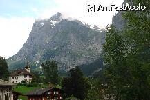 [P8x] grindelward » foto by mariana
 - 
<span class="allrVoted glyphicon glyphicon-heart hidden" id="av6975"></span>
<a class="m-l-10 hidden" id="sv6975" onclick="voting_Foto_DelVot(,6975,2252)" role="button">șterge vot <span class="glyphicon glyphicon-remove"></span></a>
<a id="v96975" class=" c-red"  onclick="voting_Foto_SetVot(6975)" role="button"><span class="glyphicon glyphicon-heart-empty"></span> <b>LIKE</b> = Votează poza</a> <img class="hidden"  id="f6975W9" src="/imagini/loader.gif" border="0" /><span class="AjErrMes hidden" id="e6975ErM"></span>
