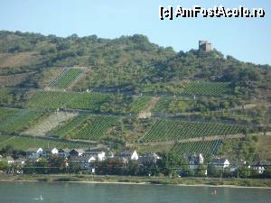 [P22] Boppard / Vita de vie si un castel » foto by cryss27
 - 
<span class="allrVoted glyphicon glyphicon-heart hidden" id="av387044"></span>
<a class="m-l-10 hidden" id="sv387044" onclick="voting_Foto_DelVot(,387044,2278)" role="button">șterge vot <span class="glyphicon glyphicon-remove"></span></a>
<a id="v9387044" class=" c-red"  onclick="voting_Foto_SetVot(387044)" role="button"><span class="glyphicon glyphicon-heart-empty"></span> <b>LIKE</b> = Votează poza</a> <img class="hidden"  id="f387044W9" src="/imagini/loader.gif" border="0" /><span class="AjErrMes hidden" id="e387044ErM"></span>