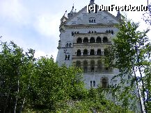 [P05] CASTELUL- Neuschwanstein » foto by floryG22
 - 
<span class="allrVoted glyphicon glyphicon-heart hidden" id="av7211"></span>
<a class="m-l-10 hidden" id="sv7211" onclick="voting_Foto_DelVot(,7211,2287)" role="button">șterge vot <span class="glyphicon glyphicon-remove"></span></a>
<a id="v97211" class=" c-red"  onclick="voting_Foto_SetVot(7211)" role="button"><span class="glyphicon glyphicon-heart-empty"></span> <b>LIKE</b> = Votează poza</a> <img class="hidden"  id="f7211W9" src="/imagini/loader.gif" border="0" /><span class="AjErrMes hidden" id="e7211ErM"></span>