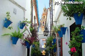 P09 [AUG-2015] Calleja de las Flores. In fndal se vede turla de la Mezquita