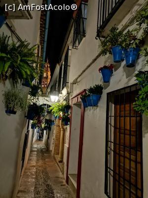 [P15] Callejas de las Flores noaptea » foto by Marius 72
 - 
<span class="allrVoted glyphicon glyphicon-heart hidden" id="av1274176"></span>
<a class="m-l-10 hidden" id="sv1274176" onclick="voting_Foto_DelVot(,1274176,2304)" role="button">șterge vot <span class="glyphicon glyphicon-remove"></span></a>
<a id="v91274176" class=" c-red"  onclick="voting_Foto_SetVot(1274176)" role="button"><span class="glyphicon glyphicon-heart-empty"></span> <b>LIKE</b> = Votează poza</a> <img class="hidden"  id="f1274176W9" src="/imagini/loader.gif" border="0" /><span class="AjErrMes hidden" id="e1274176ErM"></span>