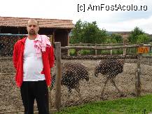 [P24]  -- <small>// FĂRĂ DESCRIERE</small> » foto by susu
 - 
<span class="allrVoted glyphicon glyphicon-heart hidden" id="av231365"></span>
<a class="m-l-10 hidden" id="sv231365" onclick="voting_Foto_DelVot(,231365,2327)" role="button">șterge vot <span class="glyphicon glyphicon-remove"></span></a>
<a id="v9231365" class=" c-red"  onclick="voting_Foto_SetVot(231365)" role="button"><span class="glyphicon glyphicon-heart-empty"></span> <b>LIKE</b> = Votează poza</a> <img class="hidden"  id="f231365W9" src="/imagini/loader.gif" border="0" /><span class="AjErrMes hidden" id="e231365ErM"></span>