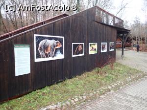 [P18] Sovata, Lacul Ursu - o expoziție cu fotografii tematice în parc » foto by Dragoș_MD
 - 
<span class="allrVoted glyphicon glyphicon-heart hidden" id="av1342909"></span>
<a class="m-l-10 hidden" id="sv1342909" onclick="voting_Foto_DelVot(,1342909,2341)" role="button">șterge vot <span class="glyphicon glyphicon-remove"></span></a>
<a id="v91342909" class=" c-red"  onclick="voting_Foto_SetVot(1342909)" role="button"><span class="glyphicon glyphicon-heart-empty"></span> <b>LIKE</b> = Votează poza</a> <img class="hidden"  id="f1342909W9" src="/imagini/loader.gif" border="0" /><span class="AjErrMes hidden" id="e1342909ErM"></span>