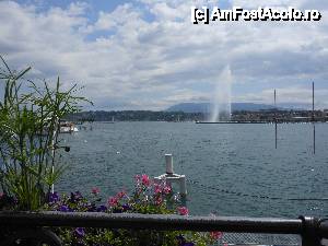 [P01] Geneva - Celebrul Jet d’Eau şi lacul Geneva (Léman).  » foto by iulianic
 - 
<span class="allrVoted glyphicon glyphicon-heart hidden" id="av417653"></span>
<a class="m-l-10 hidden" id="sv417653" onclick="voting_Foto_DelVot(,417653,2384)" role="button">șterge vot <span class="glyphicon glyphicon-remove"></span></a>
<a id="v9417653" class=" c-red"  onclick="voting_Foto_SetVot(417653)" role="button"><span class="glyphicon glyphicon-heart-empty"></span> <b>LIKE</b> = Votează poza</a> <img class="hidden"  id="f417653W9" src="/imagini/loader.gif" border="0" /><span class="AjErrMes hidden" id="e417653ErM"></span>