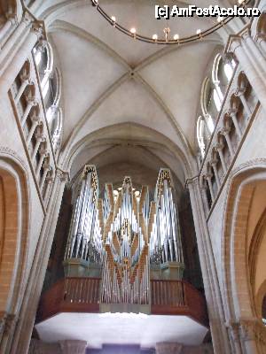 [P30] Geneva - Cathédrale de Saint Pierre, interior.  » foto by iulianic
 - 
<span class="allrVoted glyphicon glyphicon-heart hidden" id="av417682"></span>
<a class="m-l-10 hidden" id="sv417682" onclick="voting_Foto_DelVot(,417682,2384)" role="button">șterge vot <span class="glyphicon glyphicon-remove"></span></a>
<a id="v9417682" class=" c-red"  onclick="voting_Foto_SetVot(417682)" role="button"><span class="glyphicon glyphicon-heart-empty"></span> <b>LIKE</b> = Votează poza</a> <img class="hidden"  id="f417682W9" src="/imagini/loader.gif" border="0" /><span class="AjErrMes hidden" id="e417682ErM"></span>