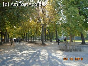 [P33] Alee în parcul Promenada Bastioanelor » foto by Mitica49
 - 
<span class="allrVoted glyphicon glyphicon-heart hidden" id="av1042976"></span>
<a class="m-l-10 hidden" id="sv1042976" onclick="voting_Foto_DelVot(,1042976,2384)" role="button">șterge vot <span class="glyphicon glyphicon-remove"></span></a>
<a id="v91042976" class=" c-red"  onclick="voting_Foto_SetVot(1042976)" role="button"><span class="glyphicon glyphicon-heart-empty"></span> <b>LIKE</b> = Votează poza</a> <img class="hidden"  id="f1042976W9" src="/imagini/loader.gif" border="0" /><span class="AjErrMes hidden" id="e1042976ErM"></span>