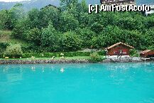 [P5x] lacul brienz » foto by mariana
 - 
<span class="allrVoted glyphicon glyphicon-heart hidden" id="av7355"></span>
<a class="m-l-10 hidden" id="sv7355" onclick="voting_Foto_DelVot(,7355,2385)" role="button">șterge vot <span class="glyphicon glyphicon-remove"></span></a>
<a id="v97355" class=" c-red"  onclick="voting_Foto_SetVot(7355)" role="button"><span class="glyphicon glyphicon-heart-empty"></span> <b>LIKE</b> = Votează poza</a> <img class="hidden"  id="f7355W9" src="/imagini/loader.gif" border="0" /><span class="AjErrMes hidden" id="e7355ErM"></span>