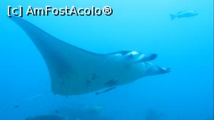 P06 [MAR-2014] MANTA