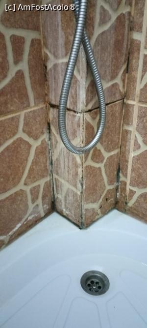 [P14] mucegaiul. imaginati-va mirosul » foto by Eta Nicolette
 - 
<span class="allrVoted glyphicon glyphicon-heart hidden" id="av1498319"></span>
<a class="m-l-10 hidden" id="sv1498319" onclick="voting_Foto_DelVot(,1498319,2429)" role="button">șterge vot <span class="glyphicon glyphicon-remove"></span></a>
<a id="v91498319" class=" c-red"  onclick="voting_Foto_SetVot(1498319)" role="button"><span class="glyphicon glyphicon-heart-empty"></span> <b>LIKE</b> = Votează poza</a> <img class="hidden"  id="f1498319W9" src="/imagini/loader.gif" border="0" /><span class="AjErrMes hidden" id="e1498319ErM"></span>