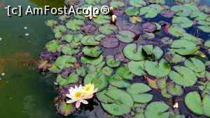 [P48] El Retiro » foto by k-lator
 - 
<span class="allrVoted glyphicon glyphicon-heart hidden" id="av1376213"></span>
<a class="m-l-10 hidden" id="sv1376213" onclick="voting_Foto_DelVot(,1376213,2442)" role="button">șterge vot <span class="glyphicon glyphicon-remove"></span></a>
<a id="v91376213" class=" c-red"  onclick="voting_Foto_SetVot(1376213)" role="button"><span class="glyphicon glyphicon-heart-empty"></span> <b>LIKE</b> = Votează poza</a> <img class="hidden"  id="f1376213W9" src="/imagini/loader.gif" border="0" /><span class="AjErrMes hidden" id="e1376213ErM"></span>