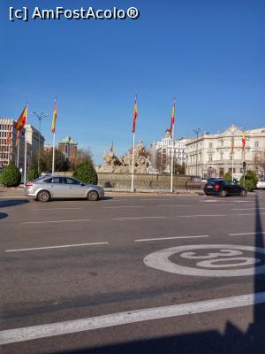 [P25] cibeles, ziua » foto by Cesere
 - 
<span class="allrVoted glyphicon glyphicon-heart hidden" id="av836565"></span>
<a class="m-l-10 hidden" id="sv836565" onclick="voting_Foto_DelVot(,836565,2442)" role="button">șterge vot <span class="glyphicon glyphicon-remove"></span></a>
<a id="v9836565" class=" c-red"  onclick="voting_Foto_SetVot(836565)" role="button"><span class="glyphicon glyphicon-heart-empty"></span> <b>LIKE</b> = Votează poza</a> <img class="hidden"  id="f836565W9" src="/imagini/loader.gif" border="0" /><span class="AjErrMes hidden" id="e836565ErM"></span>