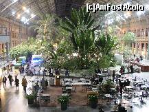 [P21] Gara Atocha » foto by libertango
 - 
<span class="allrVoted glyphicon glyphicon-heart hidden" id="av207497"></span>
<a class="m-l-10 hidden" id="sv207497" onclick="voting_Foto_DelVot(,207497,2442)" role="button">șterge vot <span class="glyphicon glyphicon-remove"></span></a>
<a id="v9207497" class=" c-red"  onclick="voting_Foto_SetVot(207497)" role="button"><span class="glyphicon glyphicon-heart-empty"></span> <b>LIKE</b> = Votează poza</a> <img class="hidden"  id="f207497W9" src="/imagini/loader.gif" border="0" /><span class="AjErrMes hidden" id="e207497ErM"></span>