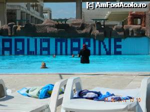 [P35]  -- <small>// FĂRĂ DESCRIERE</small> » foto by magdan*
 - 
<span class="allrVoted glyphicon glyphicon-heart hidden" id="av364010"></span>
<a class="m-l-10 hidden" id="sv364010" onclick="voting_Foto_DelVot(,364010,2468)" role="button">șterge vot <span class="glyphicon glyphicon-remove"></span></a>
<a id="v9364010" class=" c-red"  onclick="voting_Foto_SetVot(364010)" role="button"><span class="glyphicon glyphicon-heart-empty"></span> <b>LIKE</b> = Votează poza</a> <img class="hidden"  id="f364010W9" src="/imagini/loader.gif" border="0" /><span class="AjErrMes hidden" id="e364010ErM"></span>