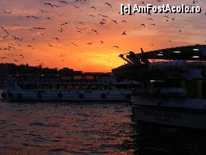 [P02] pentru că în hamam era interzis fotografiatul, vă ofer un apus pe podul Galata » foto by vasilica
 - 
<span class="allrVoted glyphicon glyphicon-heart hidden" id="av367744"></span>
<a class="m-l-10 hidden" id="sv367744" onclick="voting_Foto_DelVot(,367744,2468)" role="button">șterge vot <span class="glyphicon glyphicon-remove"></span></a>
<a id="v9367744" class=" c-red"  onclick="voting_Foto_SetVot(367744)" role="button"><span class="glyphicon glyphicon-heart-empty"></span> <b>LIKE</b> = Votează poza</a> <img class="hidden"  id="f367744W9" src="/imagini/loader.gif" border="0" /><span class="AjErrMes hidden" id="e367744ErM"></span>