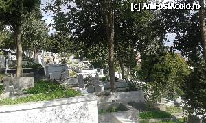 [P29] Singurul cimitir musulman din Istanbul » foto by Aurici
 - 
<span class="allrVoted glyphicon glyphicon-heart hidden" id="av692176"></span>
<a class="m-l-10 hidden" id="sv692176" onclick="voting_Foto_DelVot(,692176,2468)" role="button">șterge vot <span class="glyphicon glyphicon-remove"></span></a>
<a id="v9692176" class=" c-red"  onclick="voting_Foto_SetVot(692176)" role="button"><span class="glyphicon glyphicon-heart-empty"></span> <b>LIKE</b> = Votează poza</a> <img class="hidden"  id="f692176W9" src="/imagini/loader.gif" border="0" /><span class="AjErrMes hidden" id="e692176ErM"></span>