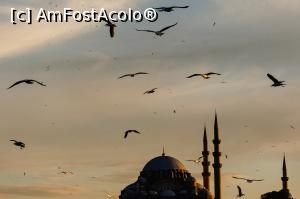 [P02]  -- <small>// FĂRĂ DESCRIERE</small> » foto by AdiFly
 - 
<span class="allrVoted glyphicon glyphicon-heart hidden" id="av1372227"></span>
<a class="m-l-10 hidden" id="sv1372227" onclick="voting_Foto_DelVot(,1372227,2468)" role="button">șterge vot <span class="glyphicon glyphicon-remove"></span></a>
<a id="v91372227" class=" c-red"  onclick="voting_Foto_SetVot(1372227)" role="button"><span class="glyphicon glyphicon-heart-empty"></span> <b>LIKE</b> = Votează poza</a> <img class="hidden"  id="f1372227W9" src="/imagini/loader.gif" border="0" /><span class="AjErrMes hidden" id="e1372227ErM"></span>