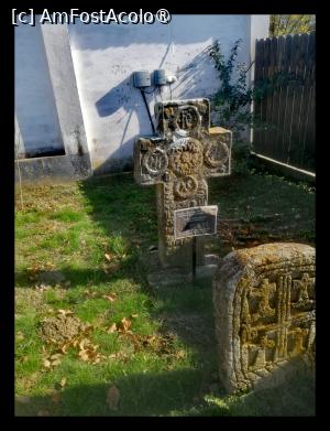 [P05]  -- <small>// FĂRĂ DESCRIERE</small> » foto by Cristian_h
 - 
<span class="allrVoted glyphicon glyphicon-heart hidden" id="av1504787"></span>
<a class="m-l-10 hidden" id="sv1504787" onclick="voting_Foto_DelVot(,1504787,2510)" role="button">șterge vot <span class="glyphicon glyphicon-remove"></span></a>
<a id="v91504787" class=" c-red"  onclick="voting_Foto_SetVot(1504787)" role="button"><span class="glyphicon glyphicon-heart-empty"></span> <b>LIKE</b> = Votează poza</a> <img class="hidden"  id="f1504787W9" src="/imagini/loader.gif" border="0" /><span class="AjErrMes hidden" id="e1504787ErM"></span>