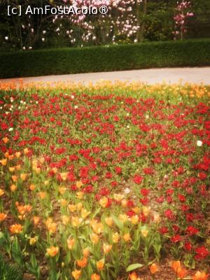 [P11]  -- <small>// FĂRĂ DESCRIERE</small> » foto by Cristian_h
 - 
<span class="allrVoted glyphicon glyphicon-heart hidden" id="av1524763"></span>
<a class="m-l-10 hidden" id="sv1524763" onclick="voting_Foto_DelVot(,1524763,2510)" role="button">șterge vot <span class="glyphicon glyphicon-remove"></span></a>
<a id="v91524763" class=" c-red"  onclick="voting_Foto_SetVot(1524763)" role="button"><span class="glyphicon glyphicon-heart-empty"></span> <b>LIKE</b> = Votează poza</a> <img class="hidden"  id="f1524763W9" src="/imagini/loader.gif" border="0" /><span class="AjErrMes hidden" id="e1524763ErM"></span>