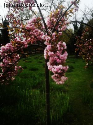 [P16]  -- <small>// FĂRĂ DESCRIERE</small> » foto by Cristian_h
 - 
<span class="allrVoted glyphicon glyphicon-heart hidden" id="av1524768"></span>
<a class="m-l-10 hidden" id="sv1524768" onclick="voting_Foto_DelVot(,1524768,2510)" role="button">șterge vot <span class="glyphicon glyphicon-remove"></span></a>
<a id="v91524768" class=" c-red"  onclick="voting_Foto_SetVot(1524768)" role="button"><span class="glyphicon glyphicon-heart-empty"></span> <b>LIKE</b> = Votează poza</a> <img class="hidden"  id="f1524768W9" src="/imagini/loader.gif" border="0" /><span class="AjErrMes hidden" id="e1524768ErM"></span>