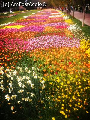 [P02]  -- <small>// FĂRĂ DESCRIERE</small> » foto by Cristian_h
 - 
<span class="allrVoted glyphicon glyphicon-heart hidden" id="av1524754"></span>
<a class="m-l-10 hidden" id="sv1524754" onclick="voting_Foto_DelVot(,1524754,2510)" role="button">șterge vot <span class="glyphicon glyphicon-remove"></span></a>
<a id="v91524754" class=" c-red"  onclick="voting_Foto_SetVot(1524754)" role="button"><span class="glyphicon glyphicon-heart-empty"></span> <b>LIKE</b> = Votează poza</a> <img class="hidden"  id="f1524754W9" src="/imagini/loader.gif" border="0" /><span class="AjErrMes hidden" id="e1524754ErM"></span>