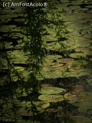 [P20]  -- <small>// FĂRĂ DESCRIERE</small> » foto by Cristian_h
 - 
<span class="allrVoted glyphicon glyphicon-heart hidden" id="av1524772"></span>
<a class="m-l-10 hidden" id="sv1524772" onclick="voting_Foto_DelVot(,1524772,2510)" role="button">șterge vot <span class="glyphicon glyphicon-remove"></span></a>
<a id="v91524772" class=" c-red"  onclick="voting_Foto_SetVot(1524772)" role="button"><span class="glyphicon glyphicon-heart-empty"></span> <b>LIKE</b> = Votează poza</a> <img class="hidden"  id="f1524772W9" src="/imagini/loader.gif" border="0" /><span class="AjErrMes hidden" id="e1524772ErM"></span>