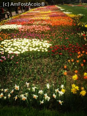 [P23]  -- <small>// FĂRĂ DESCRIERE</small> » foto by Cristian_h
 - 
<span class="allrVoted glyphicon glyphicon-heart hidden" id="av1524775"></span>
<a class="m-l-10 hidden" id="sv1524775" onclick="voting_Foto_DelVot(,1524775,2510)" role="button">șterge vot <span class="glyphicon glyphicon-remove"></span></a>
<a id="v91524775" class=" c-red"  onclick="voting_Foto_SetVot(1524775)" role="button"><span class="glyphicon glyphicon-heart-empty"></span> <b>LIKE</b> = Votează poza</a> <img class="hidden"  id="f1524775W9" src="/imagini/loader.gif" border="0" /><span class="AjErrMes hidden" id="e1524775ErM"></span>