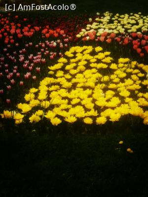 [P24]  -- <small>// FĂRĂ DESCRIERE</small> » foto by Cristian_h
 - 
<span class="allrVoted glyphicon glyphicon-heart hidden" id="av1524776"></span>
<a class="m-l-10 hidden" id="sv1524776" onclick="voting_Foto_DelVot(,1524776,2510)" role="button">șterge vot <span class="glyphicon glyphicon-remove"></span></a>
<a id="v91524776" class=" c-red"  onclick="voting_Foto_SetVot(1524776)" role="button"><span class="glyphicon glyphicon-heart-empty"></span> <b>LIKE</b> = Votează poza</a> <img class="hidden"  id="f1524776W9" src="/imagini/loader.gif" border="0" /><span class="AjErrMes hidden" id="e1524776ErM"></span>